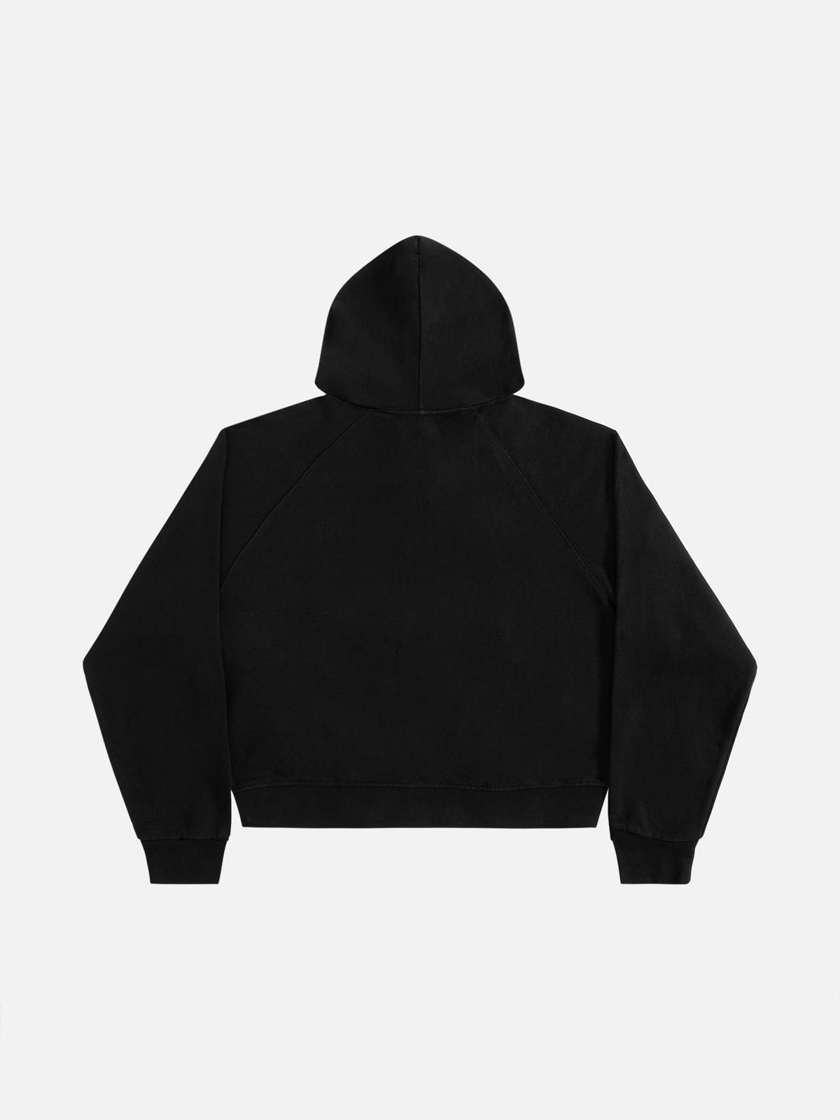 Alternative view of Aelfric Eden Boxy Distressed Half Zip Hoodie