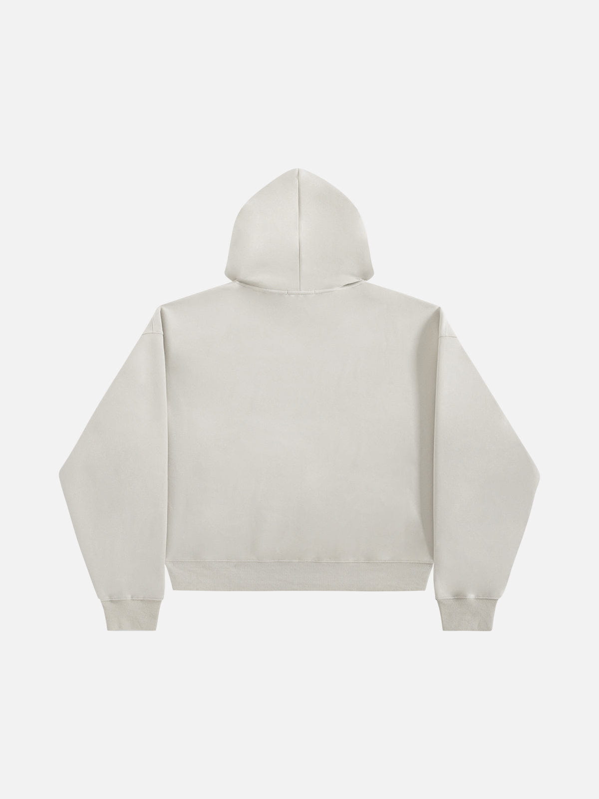 Alternative view of Aelfric Eden Oversized Blurring Doberman Graphic Hoodie
