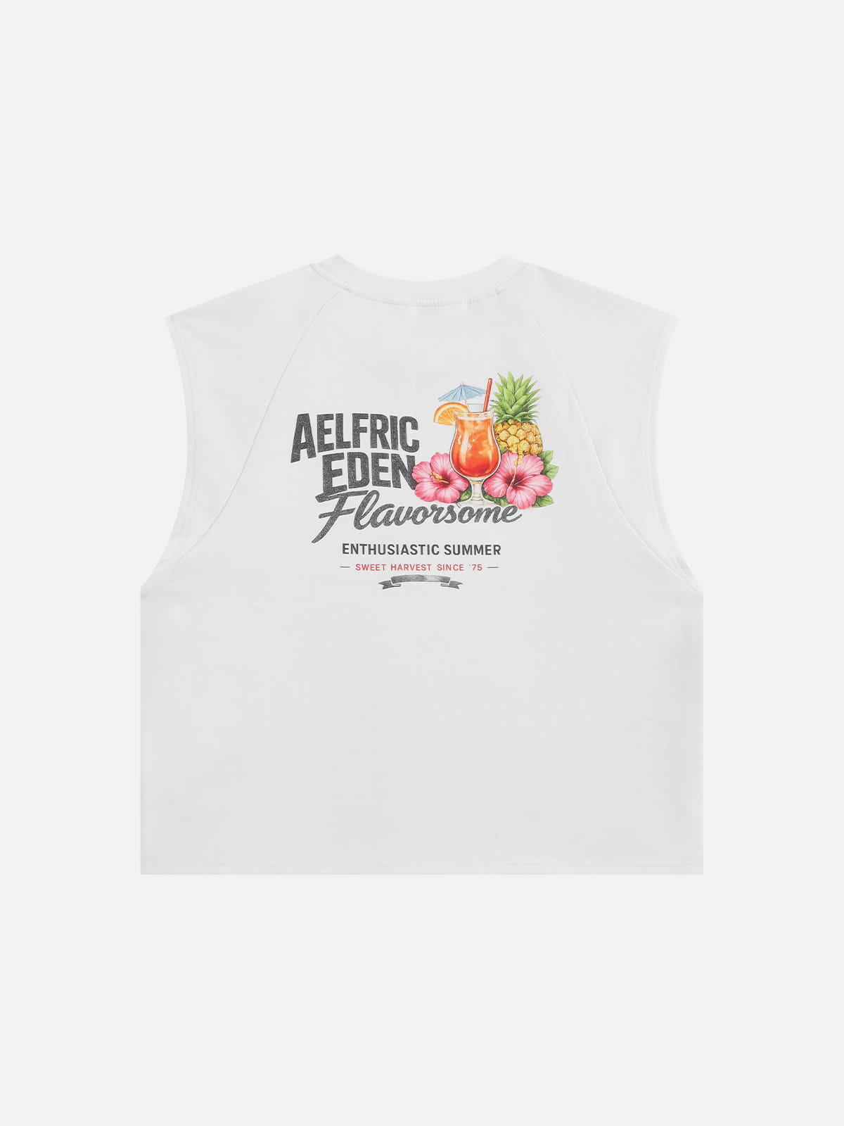 [Pre-Order] Aelfric Eden Boxy Graphic Tank Top