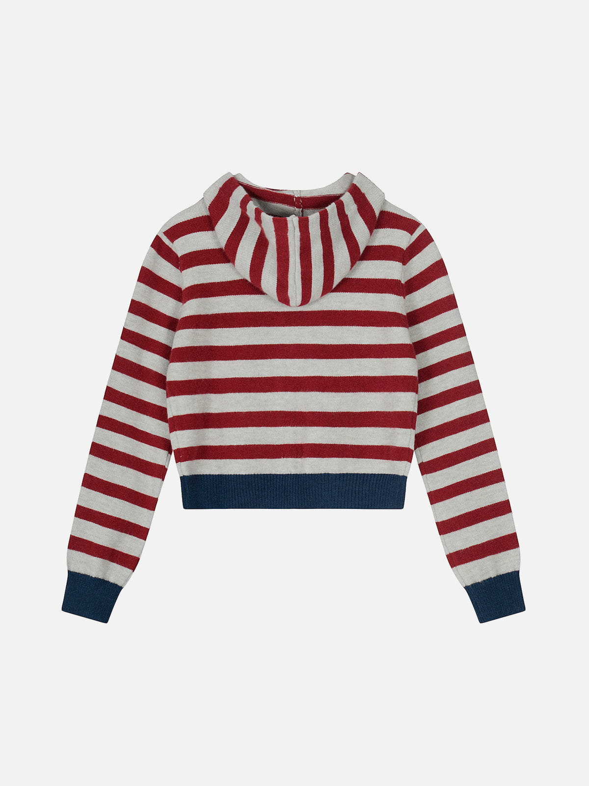 Alternative view of Aelfric Eden Striped Knit Zip Up Hoodie